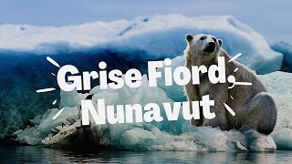 Most Northern Place in Canada  Grise Fiord Nunavut  Coldest Place in Canada [upl. by Livy639]