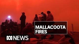 When will this nightmare end Inside Mallacootas bushfire apocalypse  ABC News [upl. by Cronin]