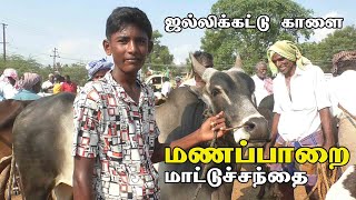 Manapparai mattu santhai  மணப்பாறை மாட்டு சந்தை [upl. by Colet195]