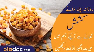 Kishmish Ke FaydeFawaid Urdu Hindi  Health Benefits of Raisins  Best Time To Eat Kishmish Daily [upl. by Aynat130]