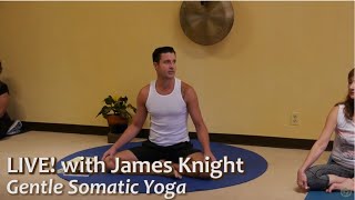 Gentle Somatic Yoga LIVE with James Knight ERYT c1 [upl. by Manbahs]