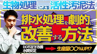 【排水処理を劇的改善】マロックスSE−Ⅱ（生物処理による活性汚泥法） [upl. by Mcclenon]