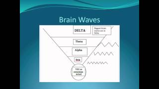 Brain Waves Explained [upl. by Christoffer]