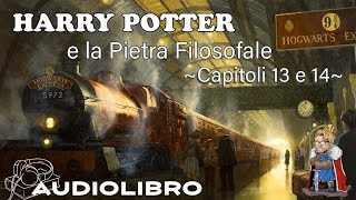 Harry Potter e la pietra filosofale  Audiolibro  Lettura e commento Cap 13  14 [upl. by Nanreik241]