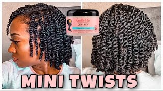 JUICY MINI TWISTS ON NATURAL HAIR  Protective Style [upl. by Imre]