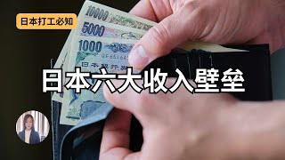 日本六大收入壁垒，超过以后损失最大的是103万？130万？150万？想最大化你的税务福利，千万不能跨越的是哪道墙？ [upl. by Einnel810]