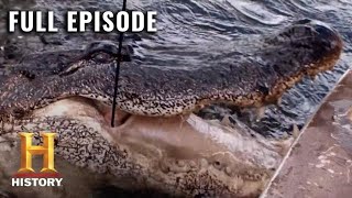 Swamp People Monster Men Season 7 Episode 5  Full Episode  History [upl. by Essiralc]