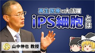 【ゆっくり解説】iPS細胞、ES細胞とは 現在の再生医療【iPS回前編】 [upl. by Searcy]