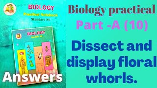 Dissect and display floral whorls biology practical class 12 experiment 10 part A answers [upl. by Simetra]