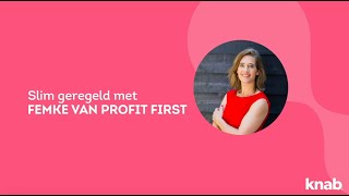 Zzp tip  Zo bereken je inkomstenbelasting  Femke Hogema van Profit First [upl. by Eiramanitsirhc]