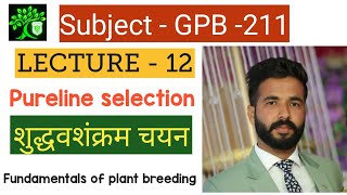 Pureline selection  Gpb211  fundamentals of plant breeding  bsc Agriculture plant breeding [upl. by Acilejna673]