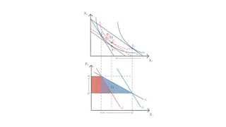 A12 Paasche index  Consumption  Microeconomics [upl. by Colburn879]