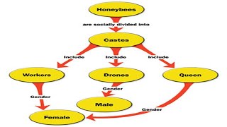 How to Make a Concept Map in Microsoft Word [upl. by Arvie472]