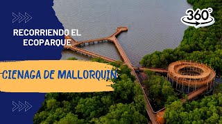 Recorre el nuevo atractivo turístico de BARRANQUILLA el ECOPARQUE CIENAGA DE MALLORQUIN 🍃  360° VR [upl. by Vasquez]