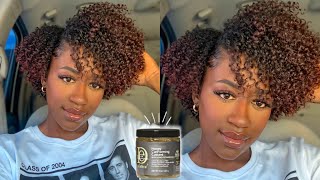 Design Essentials Natural Honey Curl Forming Custard Demo amp Review  Kris Elisa [upl. by Hgiel]