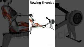 Rowing exercise with rowing machine  shortvideo bodybuildingexerciseatgym [upl. by Myrt224]