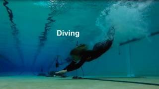 Underwater sounds of swimmers divers surfers and kayakers [upl. by Ahsimot798]