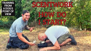 Scentwork  How Do I Start [upl. by Bigelow119]