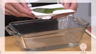 Broccoli Puree Cooking Tutorial  Gourmet Pureé Foods [upl. by Niki]