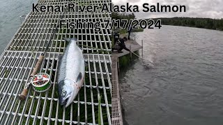 Fishing for salmon on Kenai river Alaska 7172024 [upl. by Emersen]