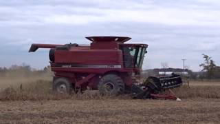 Hay Harvesting with a Case 2388 Combine [upl. by Adnauqaj]