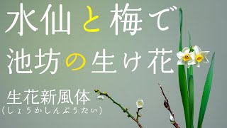 水仙と梅を使って華道家が生ける池坊の生け花 生花新風体 [upl. by Eizle]