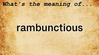 Rambunctious Meaning  Definition of Rambunctious [upl. by Aelem984]