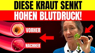 3 Wunderkräuter zur Senkung des Blutdrucks amp Arterienreinigung – Barbara ONeills Geheimnisse [upl. by Sadoc252]