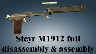 Steyr M1912 full disassembly amp assembly [upl. by Ahsien361]