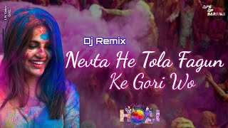 NevtaHeTolaFagunKeGoriWo  Ft Dukalu Yadav  Cg Holi Song Remix  Djs Of Sarsiwa [upl. by Am50]