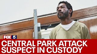 Central Park attack suspect in custody [upl. by Arahahs]