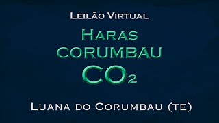 Luana do Corumbau [upl. by Edrick481]