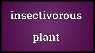 Insectivorous plant Meaning [upl. by Amalbena]