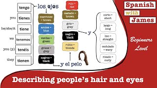 Describe Peoples Hair and Eyes in Spanish [upl. by Woodson]