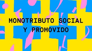 Monotributo social y promovido ¿Sabés qué son [upl. by Nolad639]