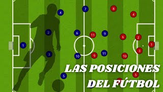 LAS POSICIONES EN EL FÚTBOL  Características funciones y roles de los jugadores de fútbol [upl. by Enirehtacyram567]