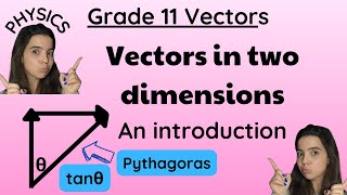 Grade 11 vector in two dimensions physics LEVEL EASY [upl. by Bee]