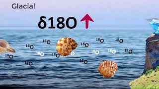 Glaciation and oxygen isotope [upl. by Bobbee]