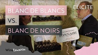 Champagne Types Blanc De Blancs Vs Blanc De Noirs [upl. by Egarton]