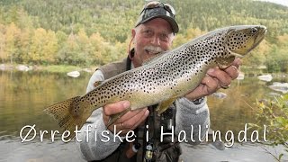 Ørretfiske i Hallingdal  2kgs ørret og en haug flotte pannefisk [upl. by Kiraa]