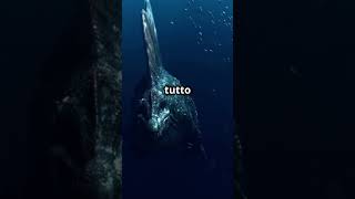 Megalodonte predatore nelle profondità foryou megalodon ocean youtubeshorts foryou mare [upl. by Johnna]