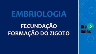 Fecundação Formação do Zigoto Embriologia Humana  Bio Aulas [upl. by Zerdna563]