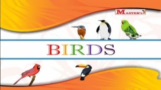 Birds  English Animation Video for Kids [upl. by Ilyak692]