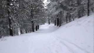 Cross Country Skiing at Mt Pinos California [upl. by Egres]