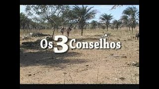 O SÁBIO E OS 3 CONSELHOS  REFLEXÃO CONECTADOS [upl. by Soinski316]