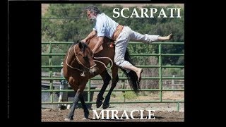 Amazing Old Horseman starting an 8 years old wild Mustang  Scarpati Horsemanship [upl. by Center]