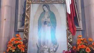 Rosario 1er Día del Docenario A La Virgen De Guadalupe [upl. by Sidonia]