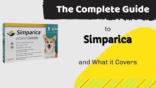 The Complete Guide to Simparica and What it Covers [upl. by Adelia]