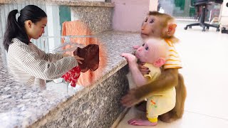 Baby monkey Poki with the help of Pupu met his mother [upl. by Mitman252]