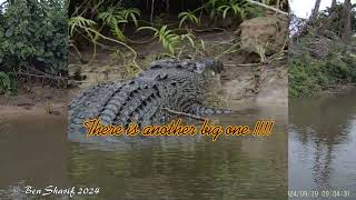 Queensland FNQ Mossman Gorge and Daintree National Park [upl. by Aerdnahc]